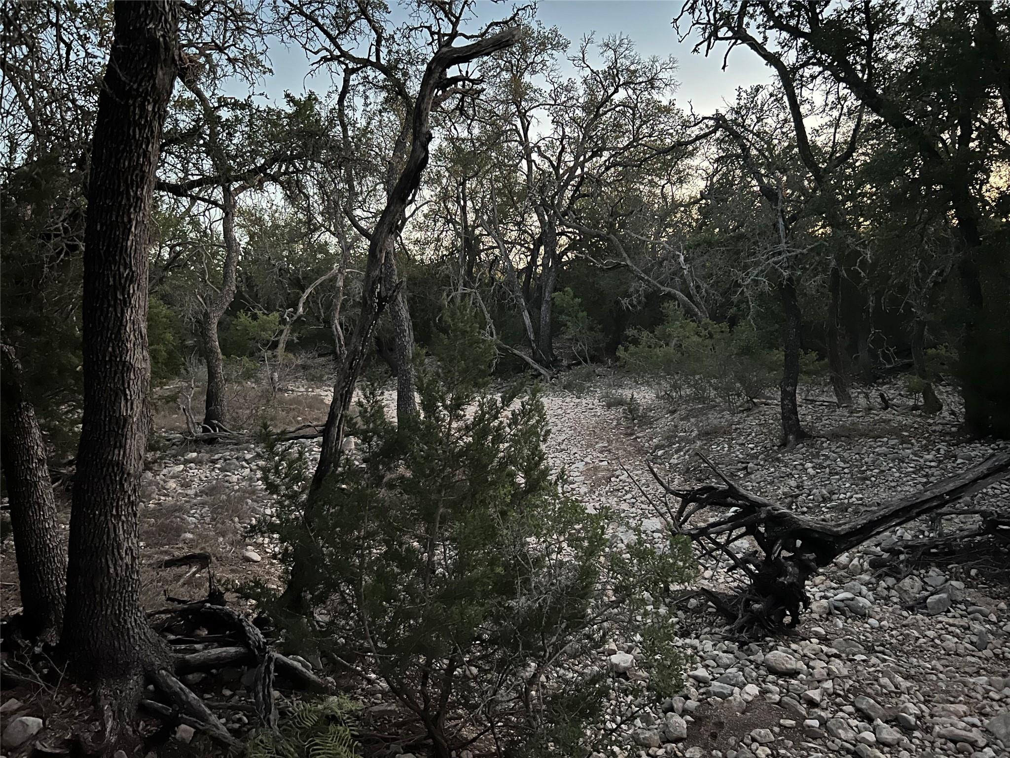 Details for Tbd County Road 450, Rocksprings, TX 78880