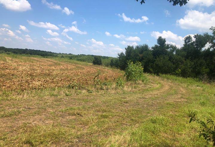 Image 12 of 12 For Tbd Cr 421, Thrall Tx 765 County Road 421