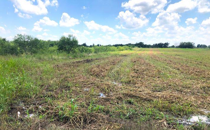 Image 5 of 12 For Tbd Cr 421, Thrall Tx 765 County Road 421