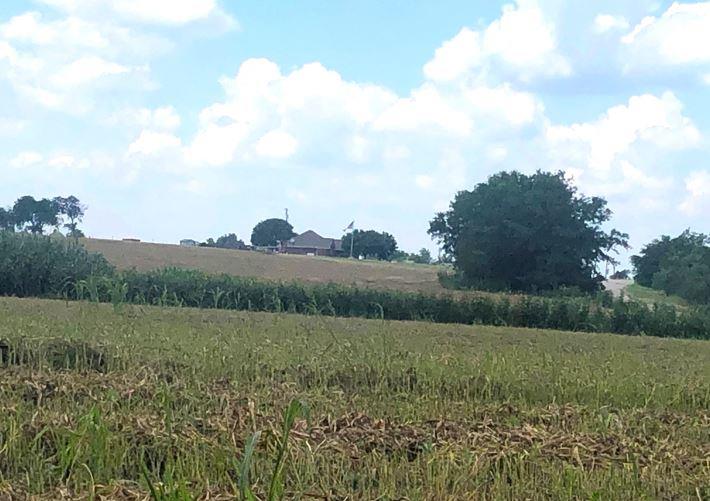 Image 8 of 12 For Tbd Cr 421, Thrall Tx 765 County Road 421