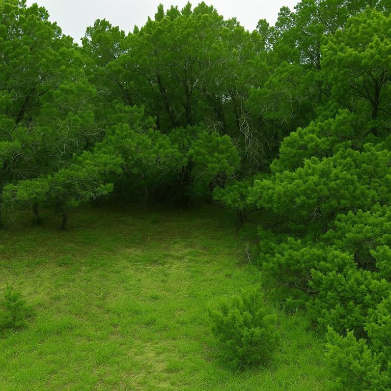 Details for 4414 Liberty Ln, Leander, TX 78645