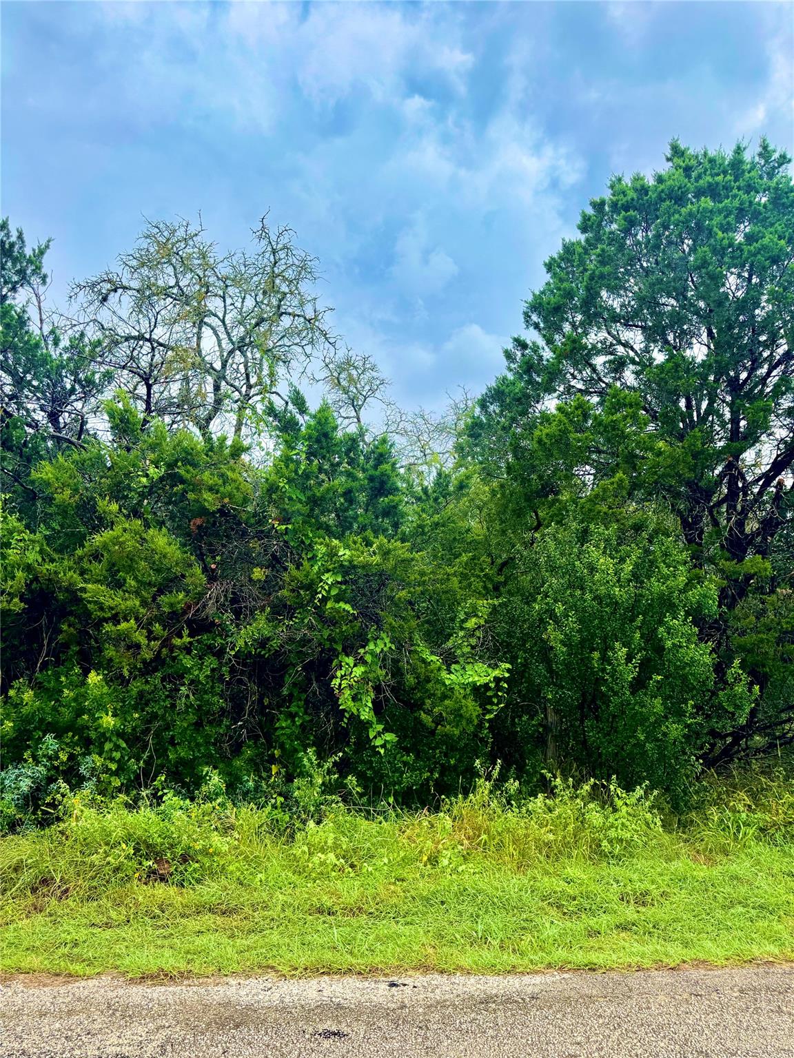 Image 2 of 10 For Tbd Tracts 10 & 22 Goat Hill Rd