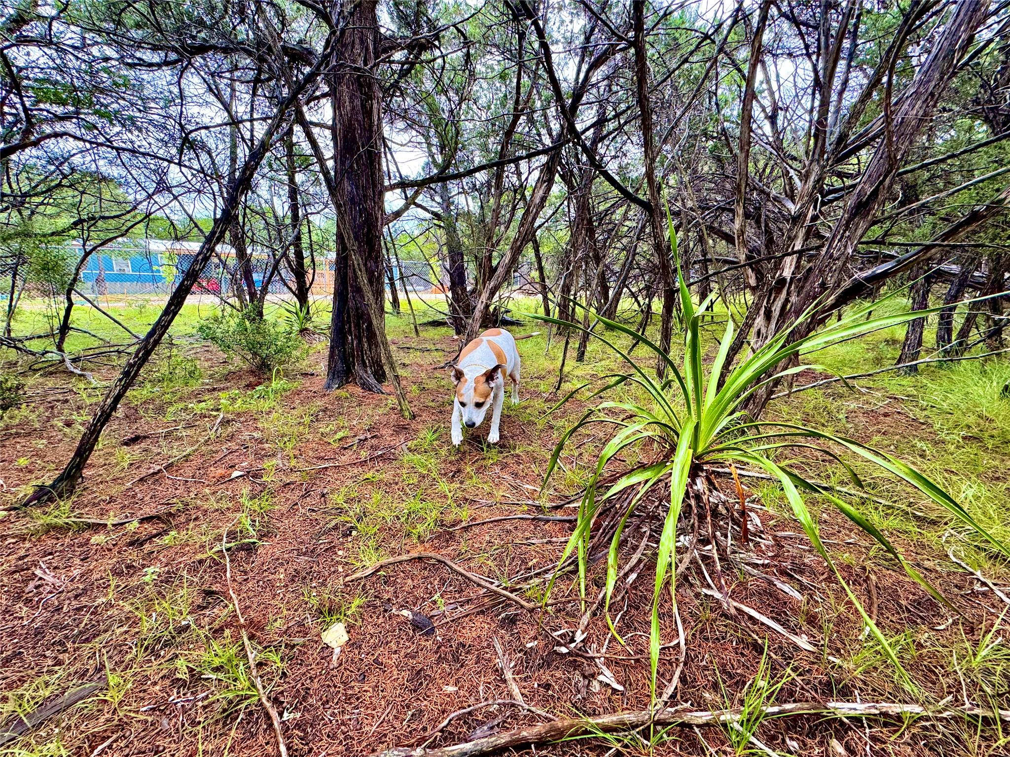 Image 3 of 10 For Tbd Tracts 10 & 22 Goat Hill Rd