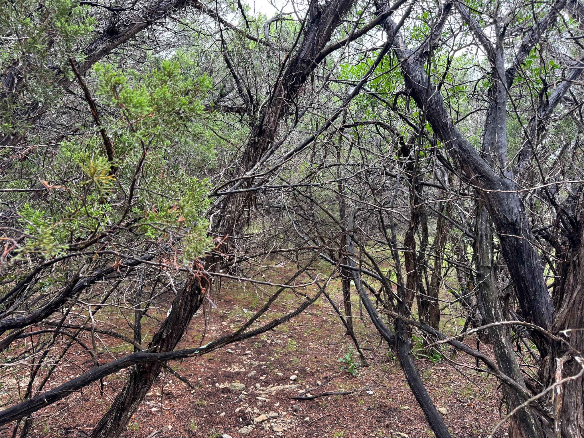 Image 9 of 10 For Tbd Tracts 10 & 22 Goat Hill Rd