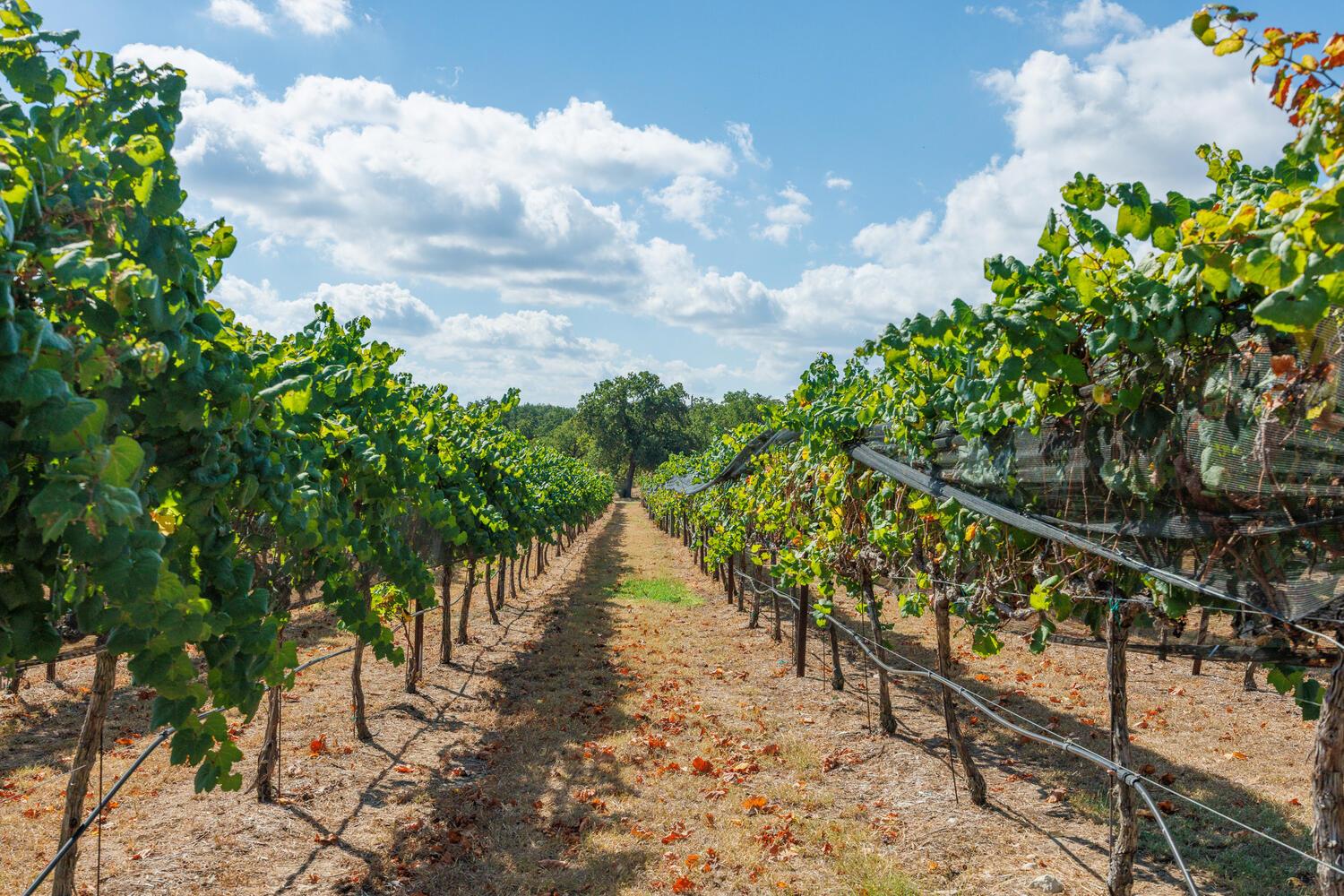 Image 40 of 40 For 1758 Lincoln Smith Rd