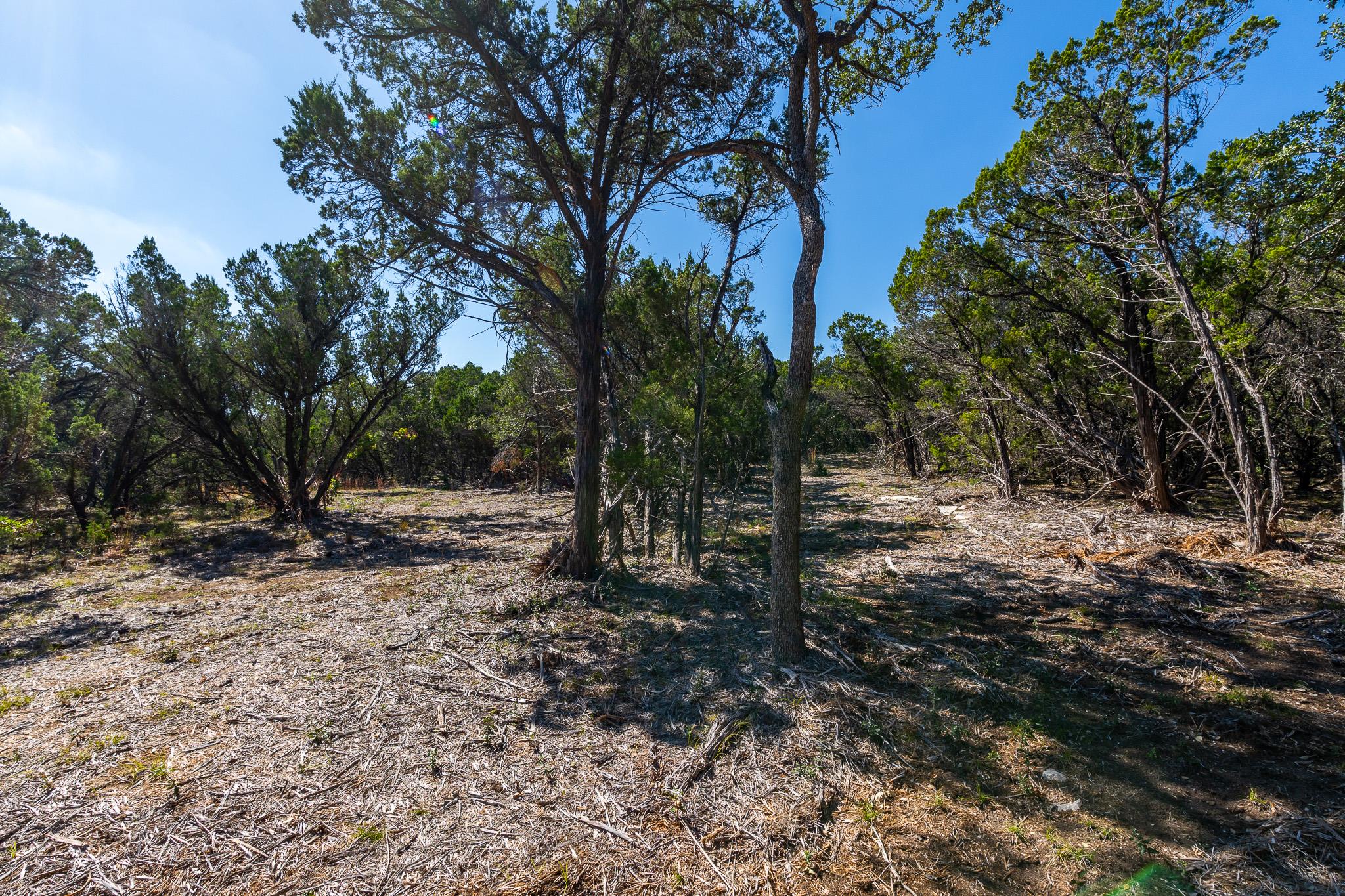 Image 15 of 19 For 6022 Fm 32  