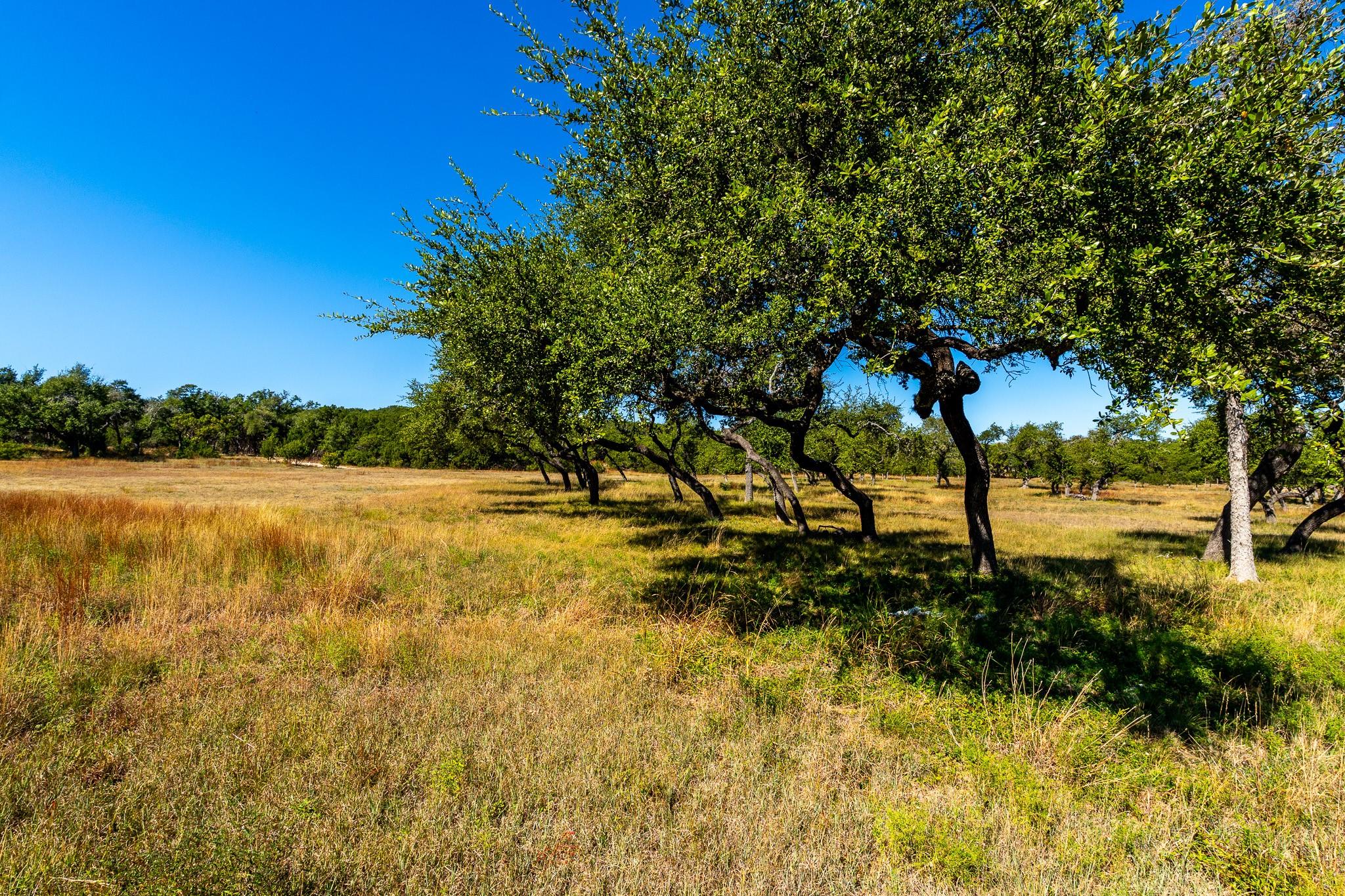 Image 8 of 19 For 6022 Fm 32  