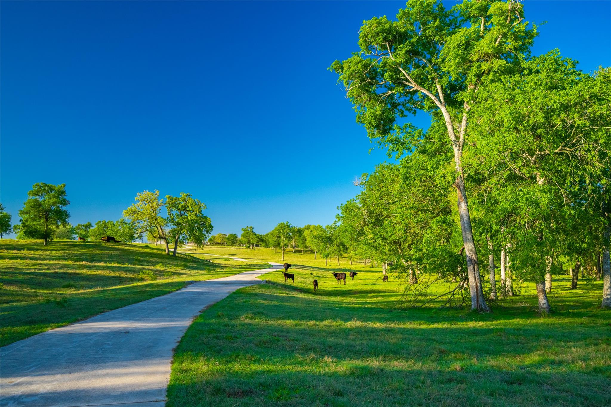 Image 2 of 40 For 0 Highway 90