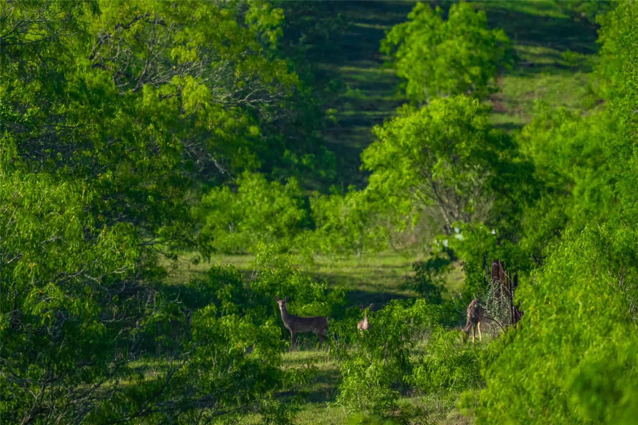 Image 20 of 40 For 0 Highway 90