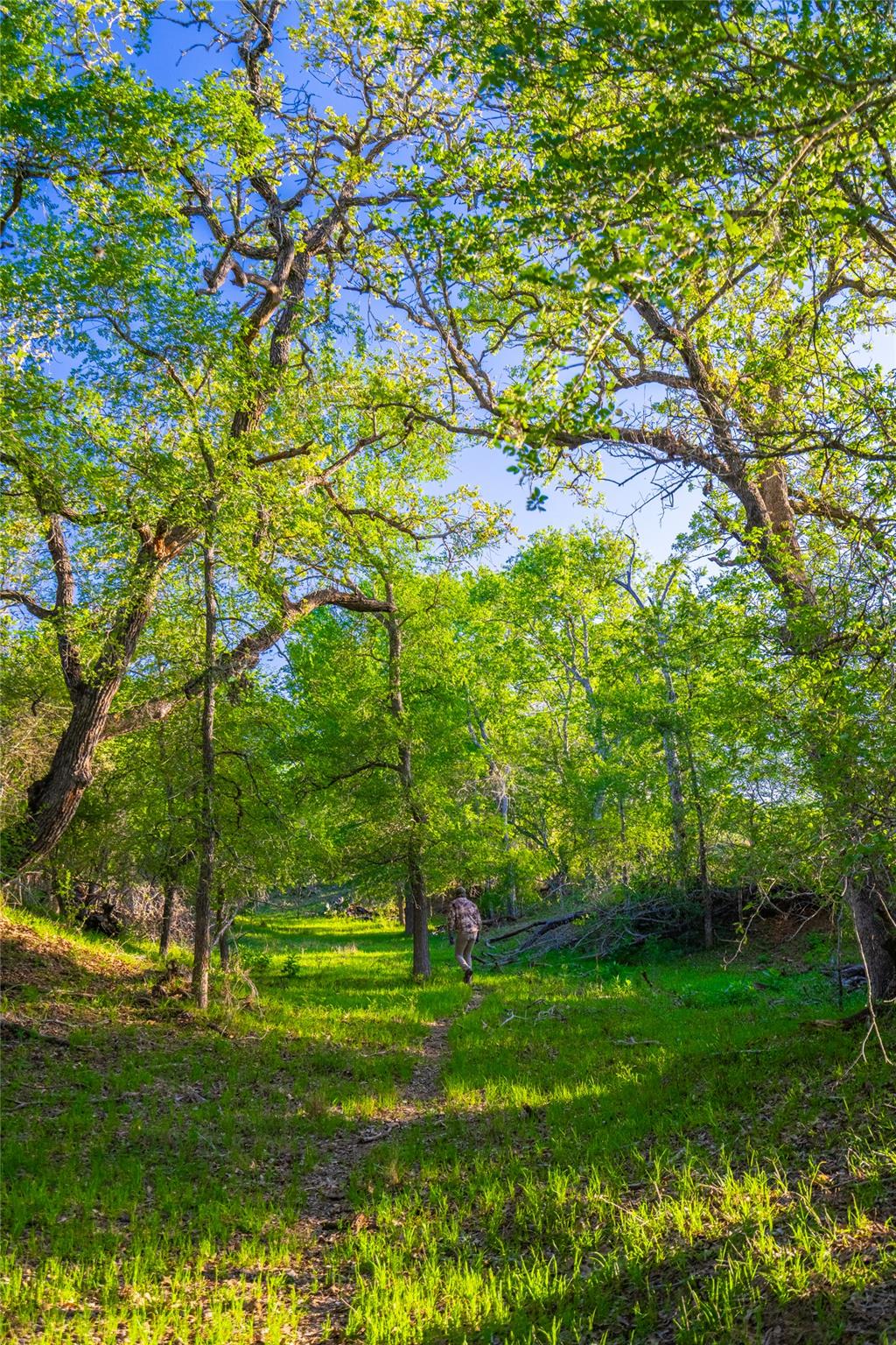 Image 21 of 40 For 0 Highway 90