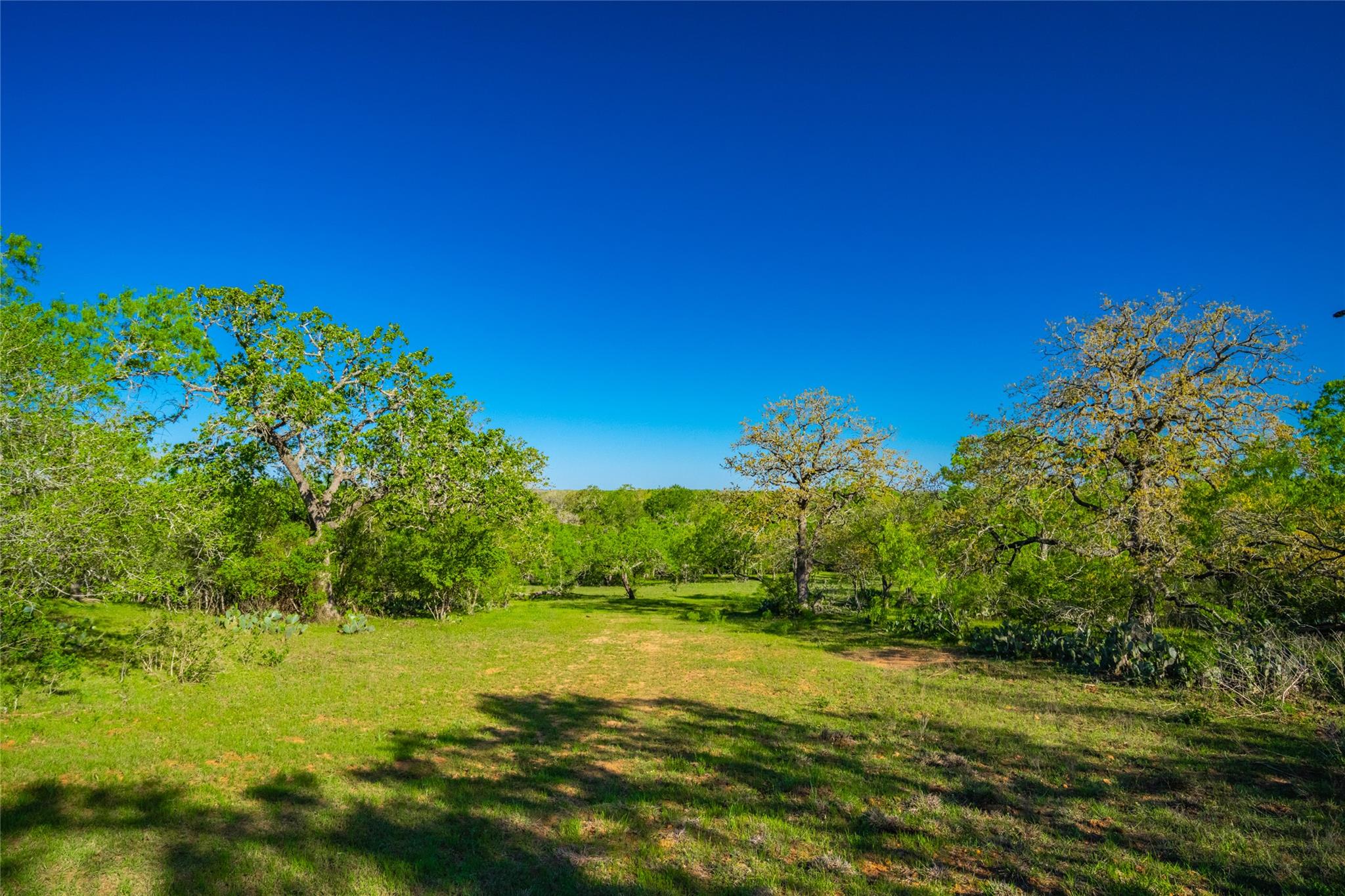 Image 26 of 40 For 0 Highway 90