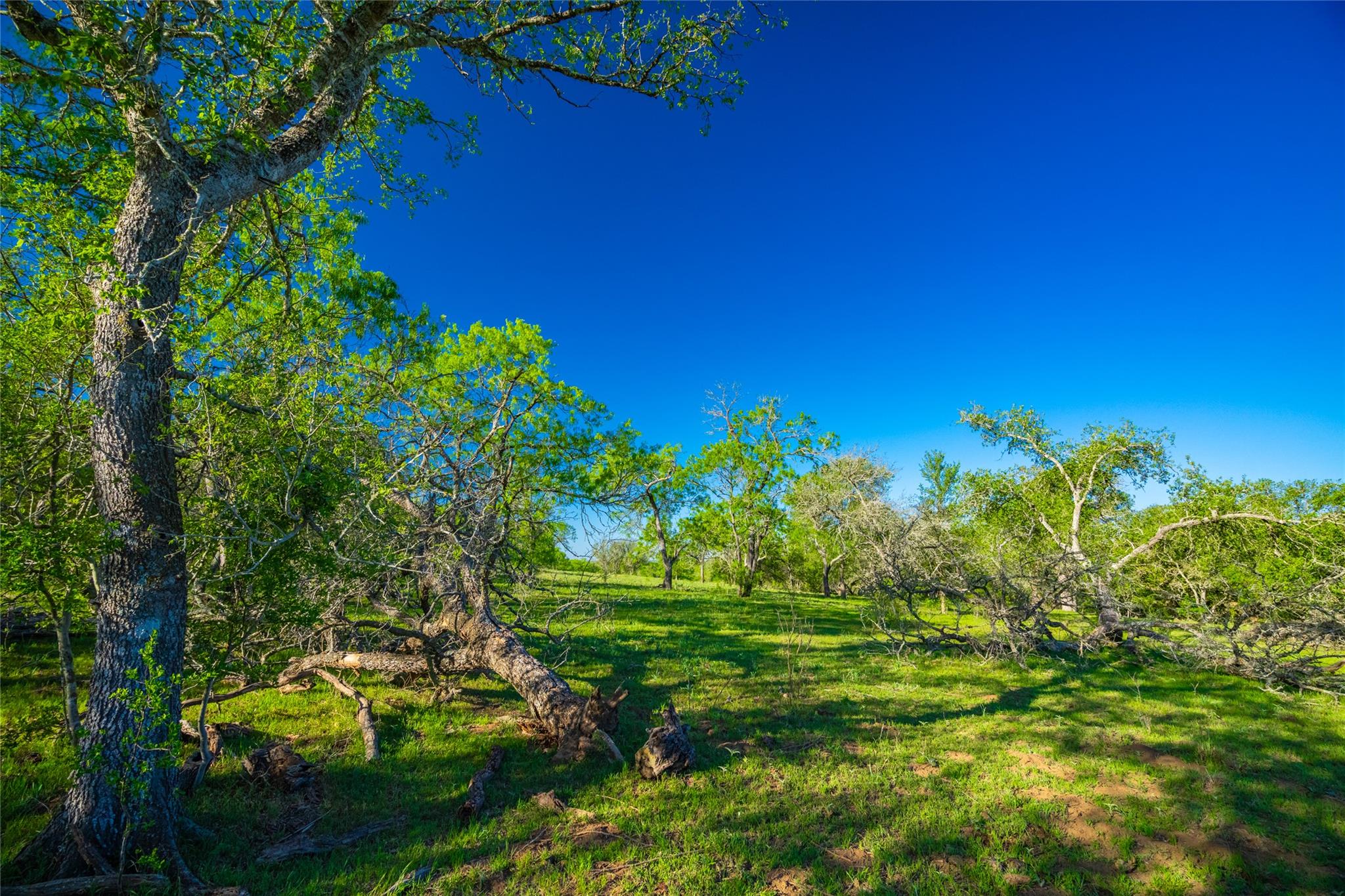 Image 35 of 40 For 0 Highway 90