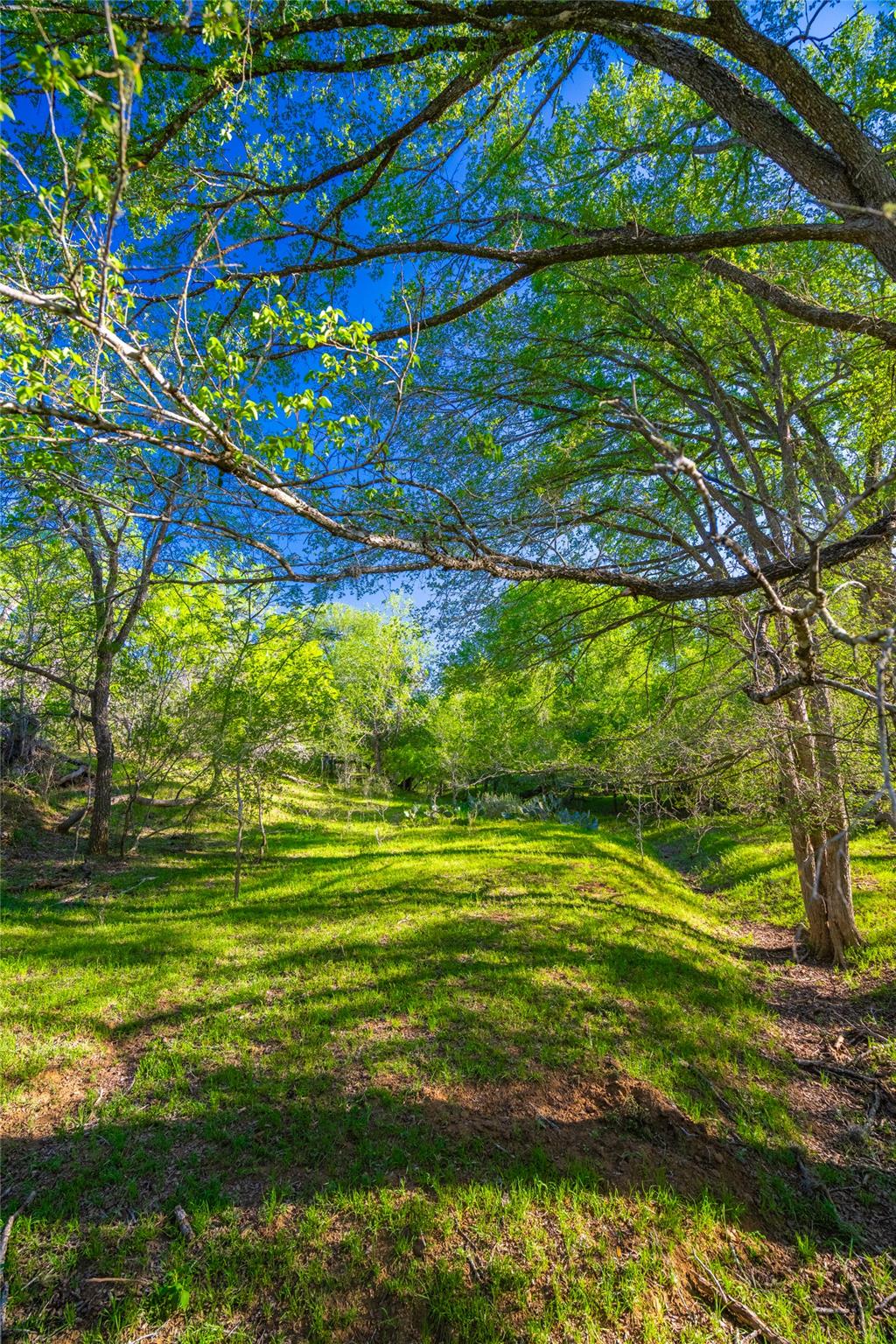 Image 36 of 40 For 0 Highway 90