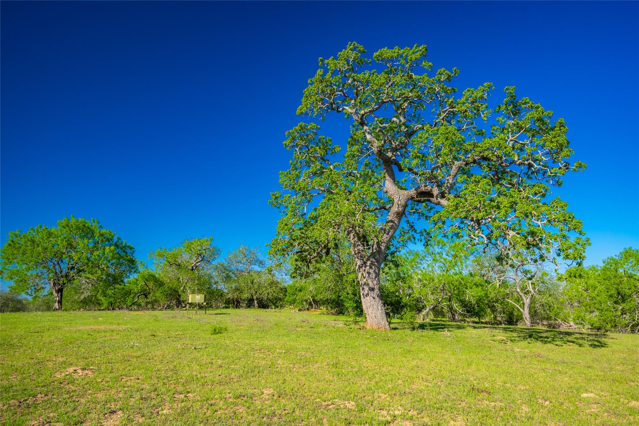 Image 37 of 40 For 0 Highway 90