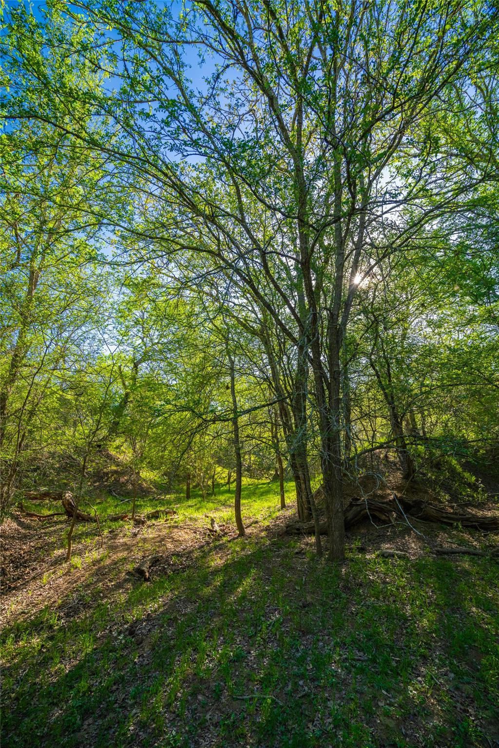 Image 38 of 40 For 0 Highway 90