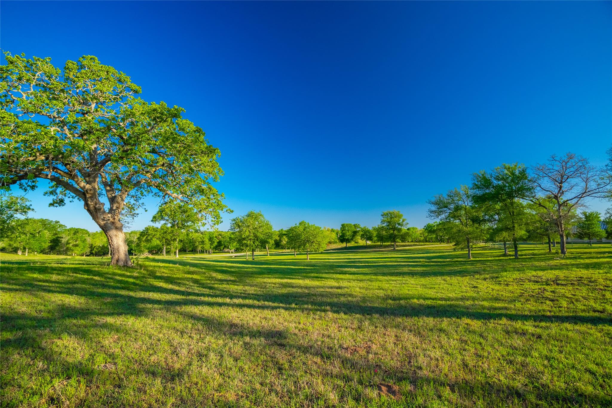 Image 7 of 40 For 0 Highway 90