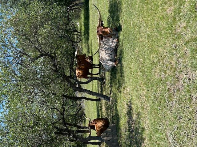 Image 31 of 31 For 2124 Crabapple Rd