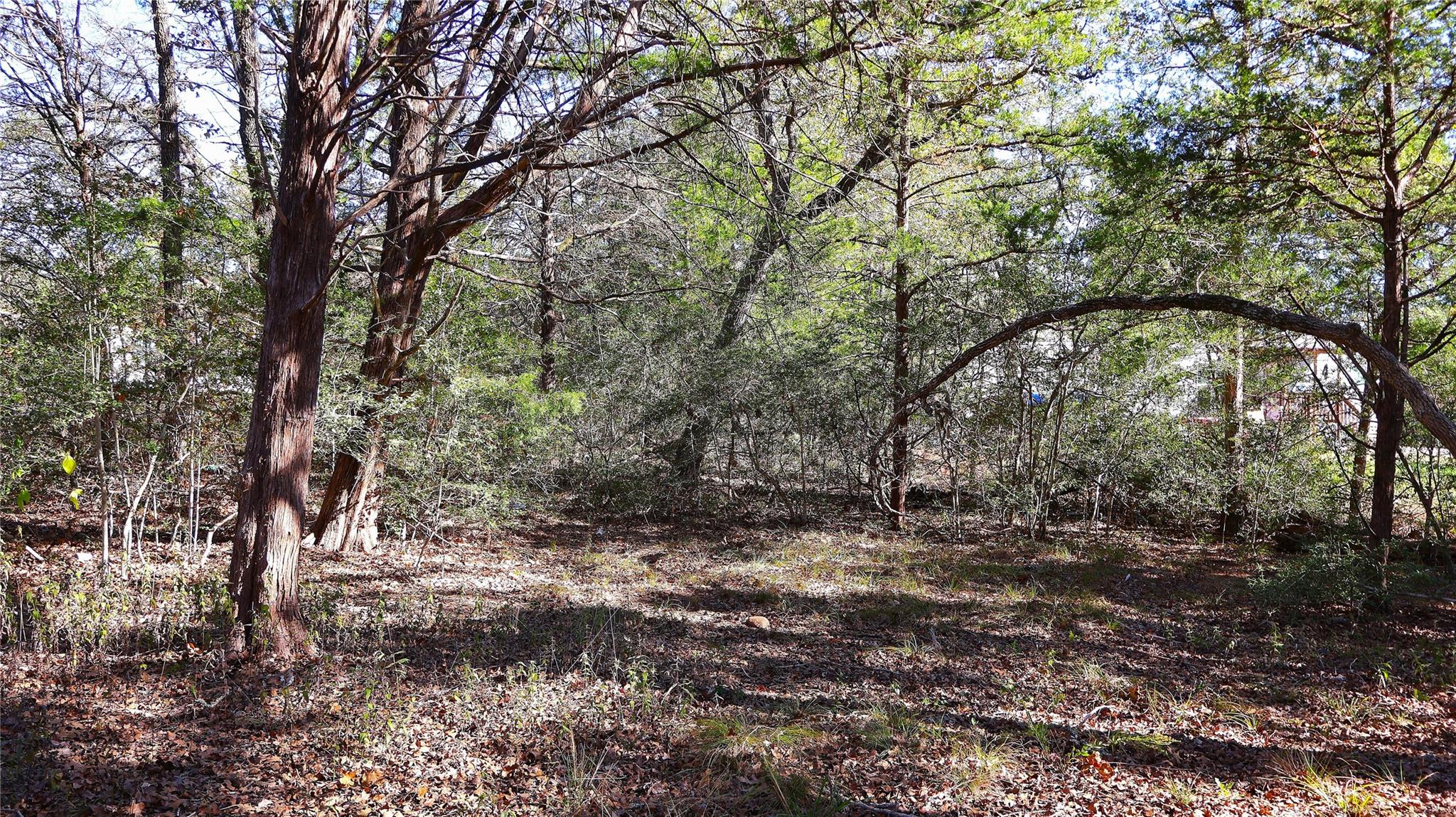 Details for Tbd Choctaw Trl, Smithville, TX 78957