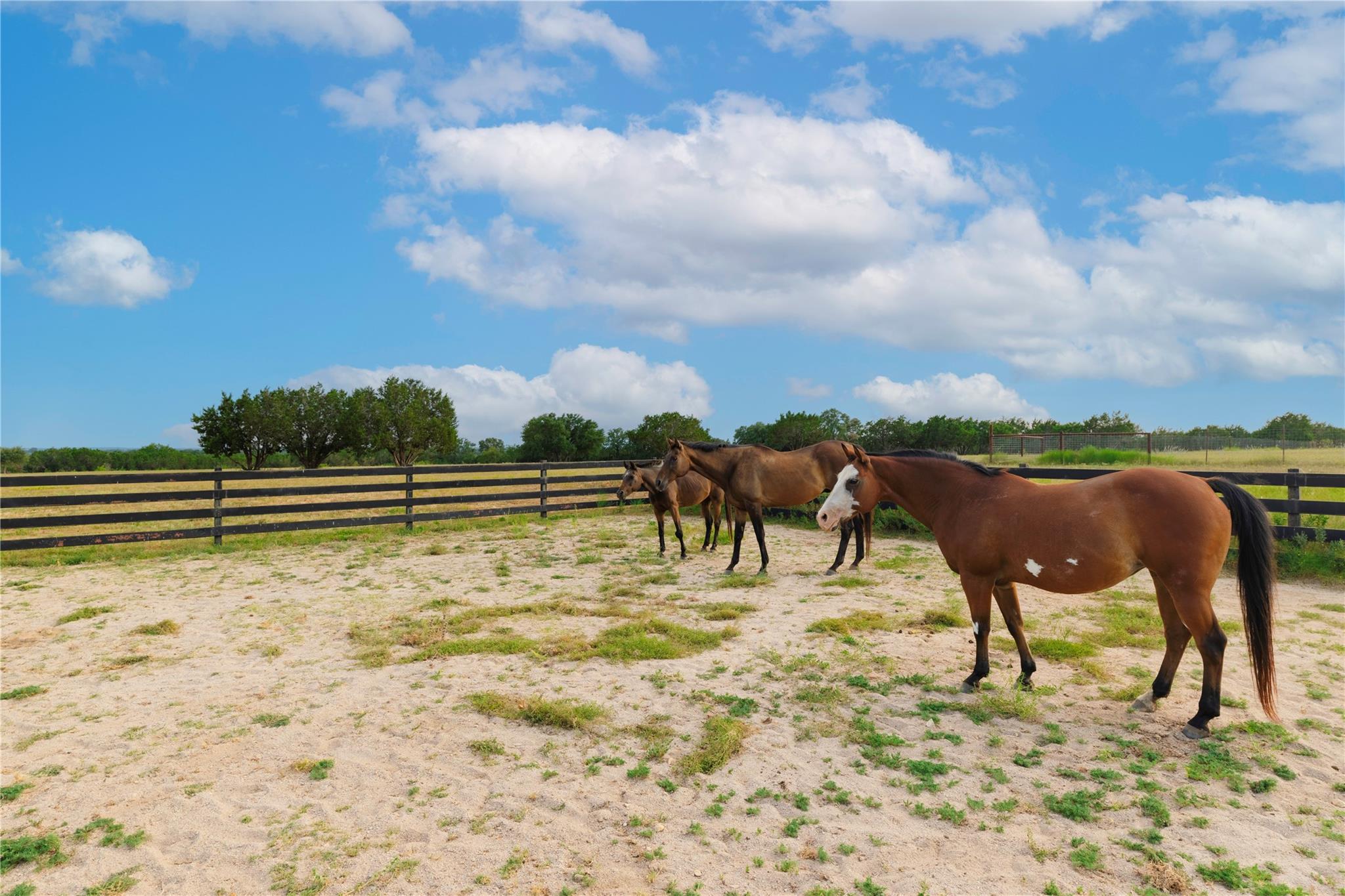 Image 28 of 39 For 1400 County Road 320