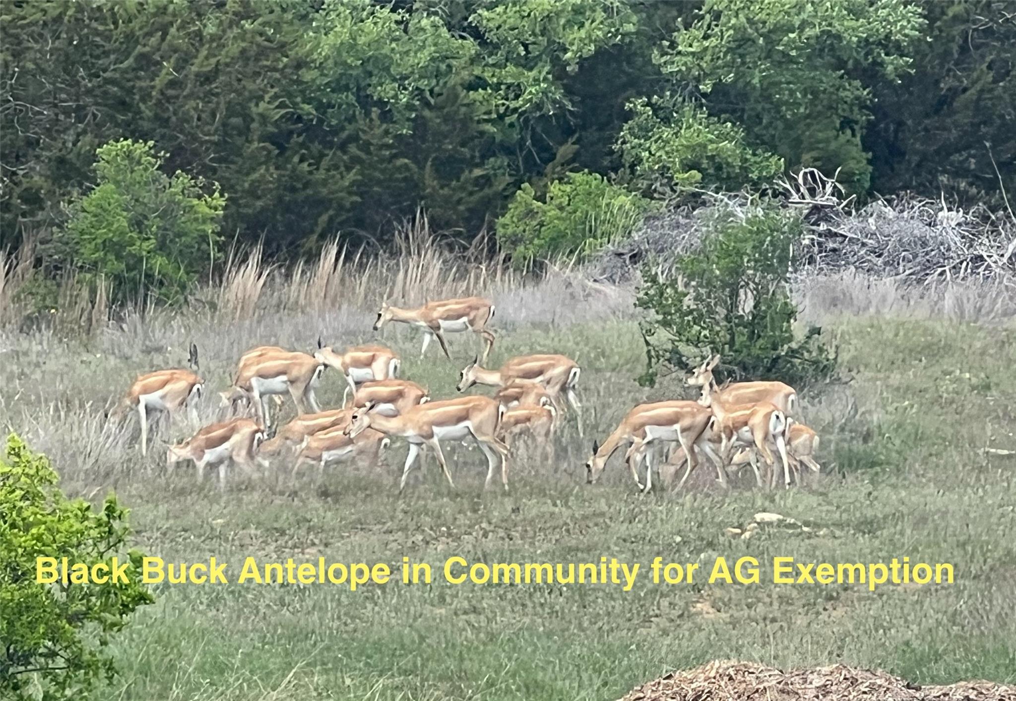 Image 5 of 9 For Lot 63 Summit Ledge Dr