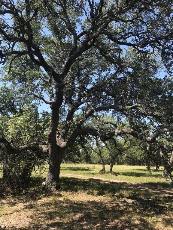 Details for 5385 Ranch Road 165, Blanco, TX 78606