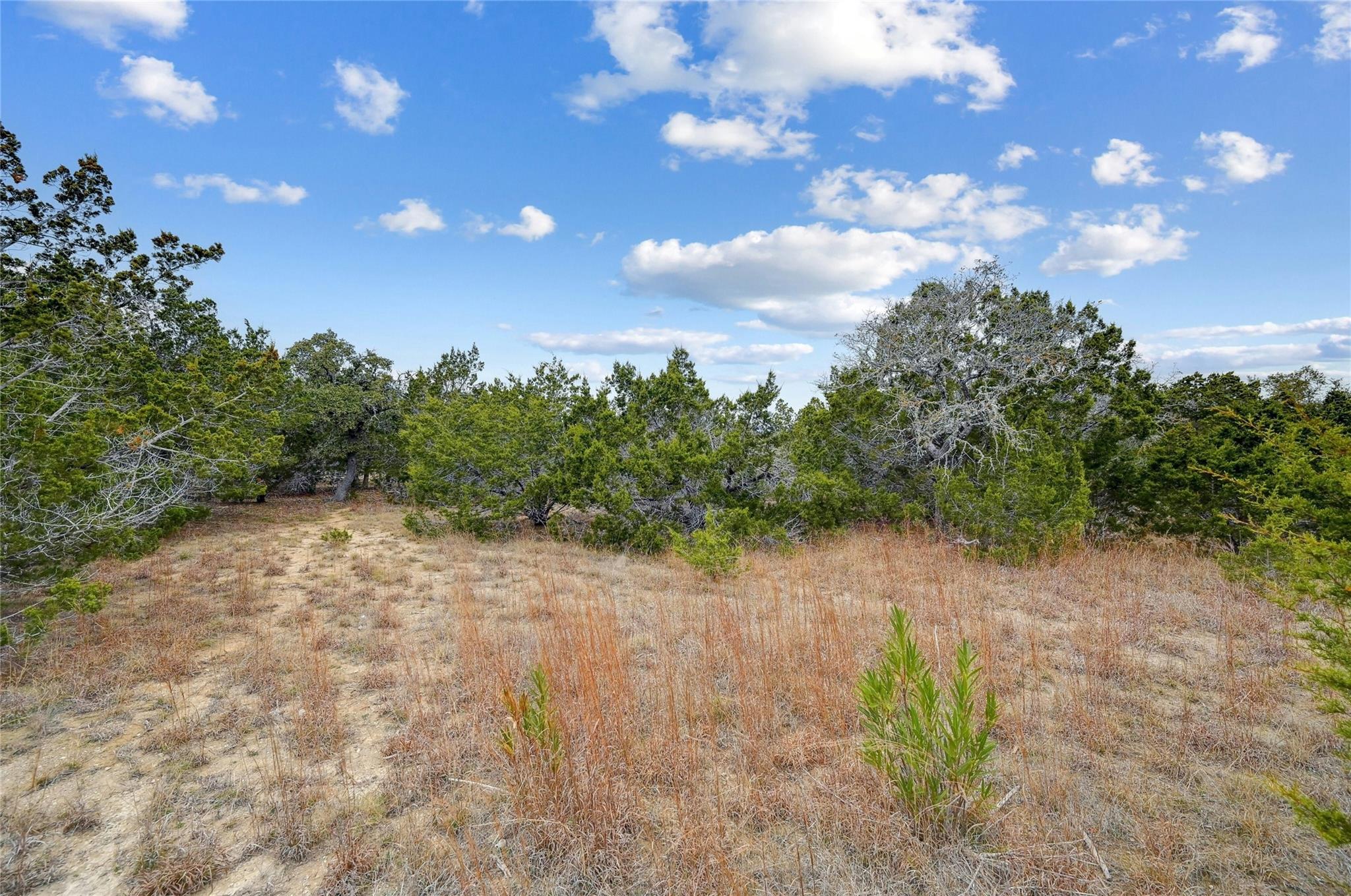 Image 2 of 8 For Tbd Sunset Vw