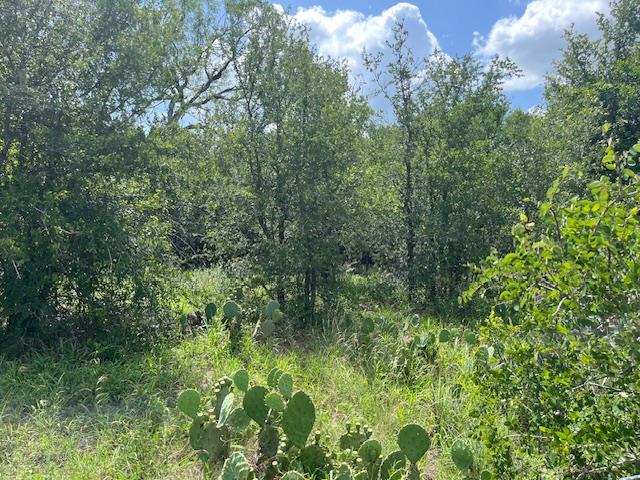 Details for 103 Mann Ln , Cedar Creek, TX 78612