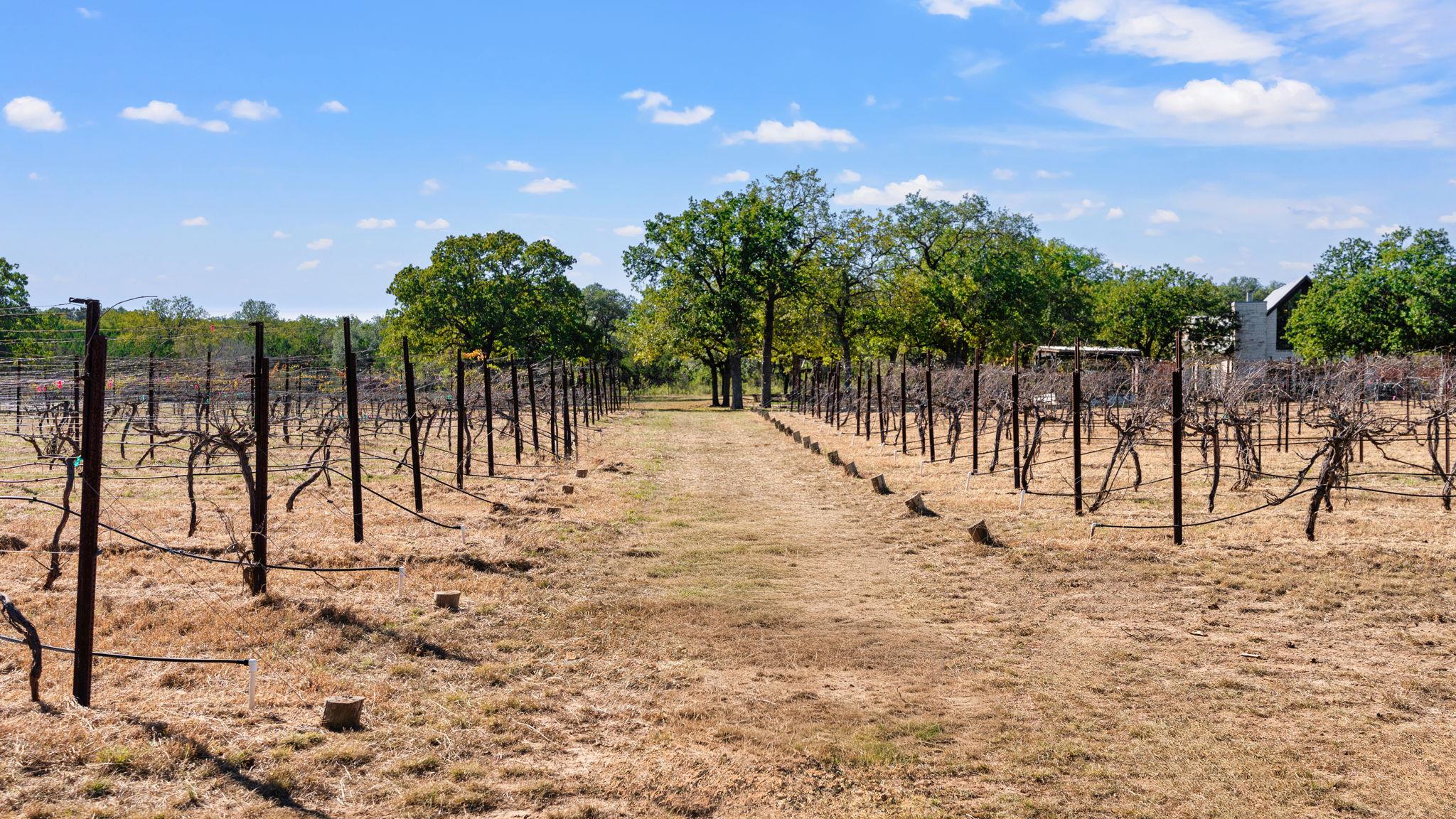 Image 21 of 39 For 25711 Hamilton Pool Rd