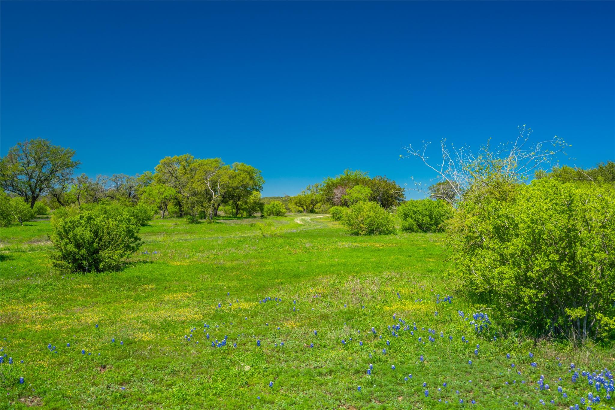 Details for Tbd Paleface Ranch Rd, Spicewood, TX 78669