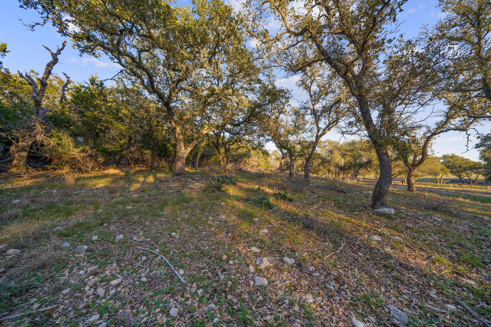 Image 19 of 31 For 539 Clay Ridge Rdg