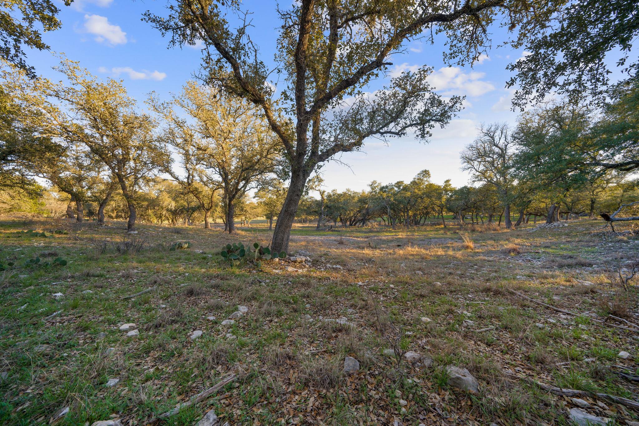 Image 20 of 31 For 539 Clay Ridge Rdg