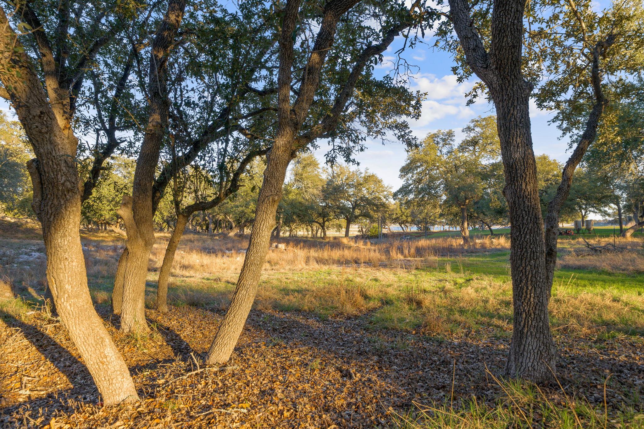 Image 22 of 31 For 539 Clay Ridge Rdg