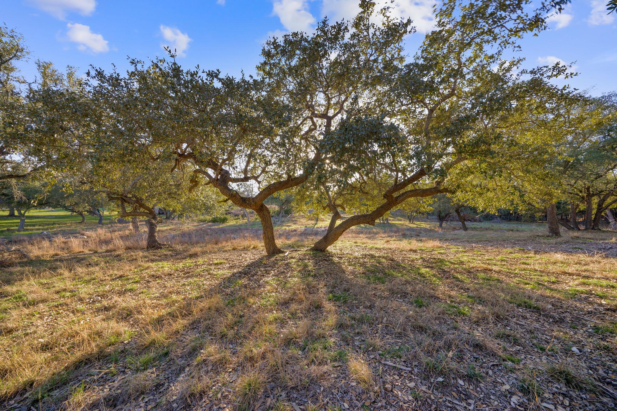 Image 4 of 31 For 539 Clay Ridge Rdg