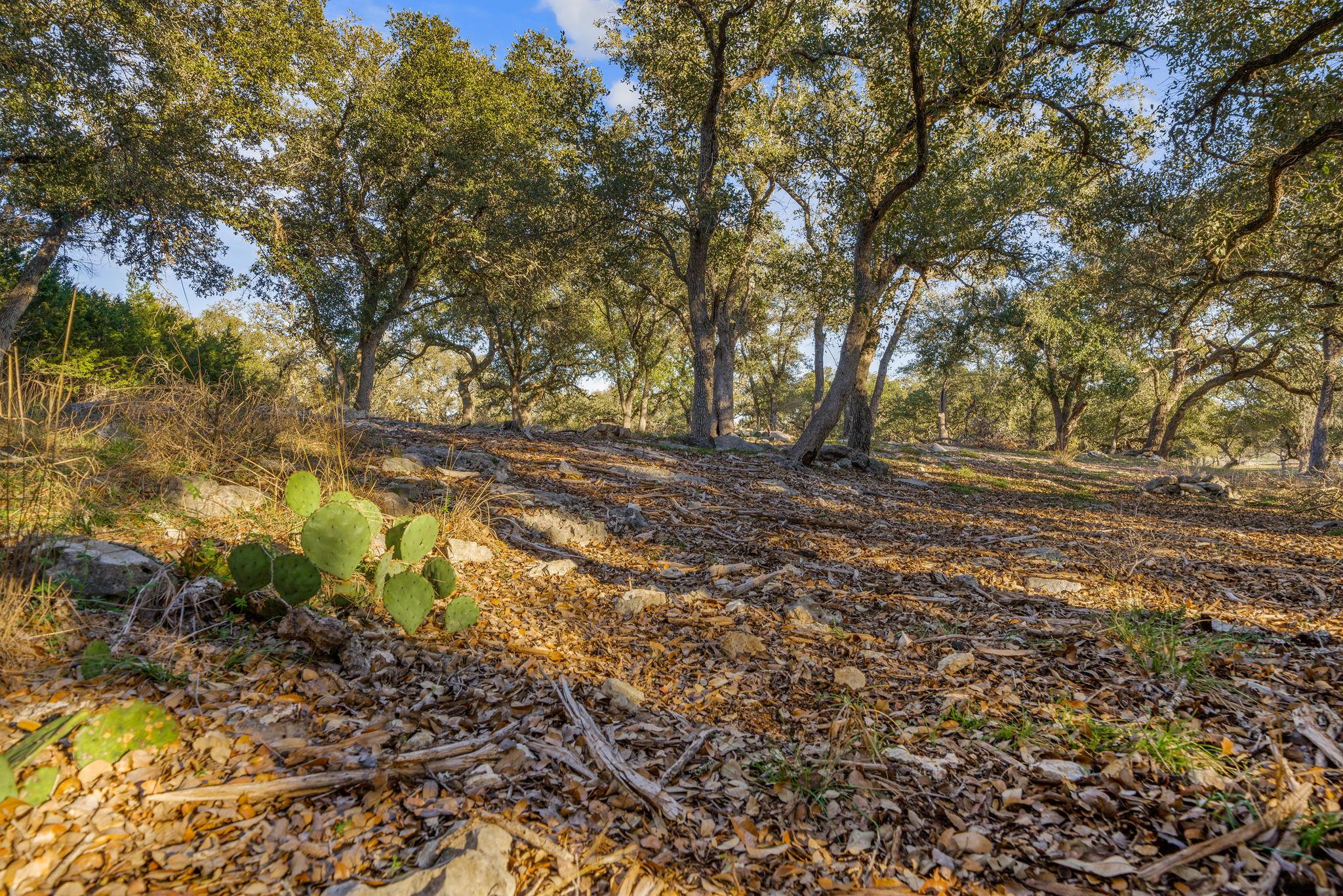 Image 5 of 31 For 539 Clay Ridge Rdg