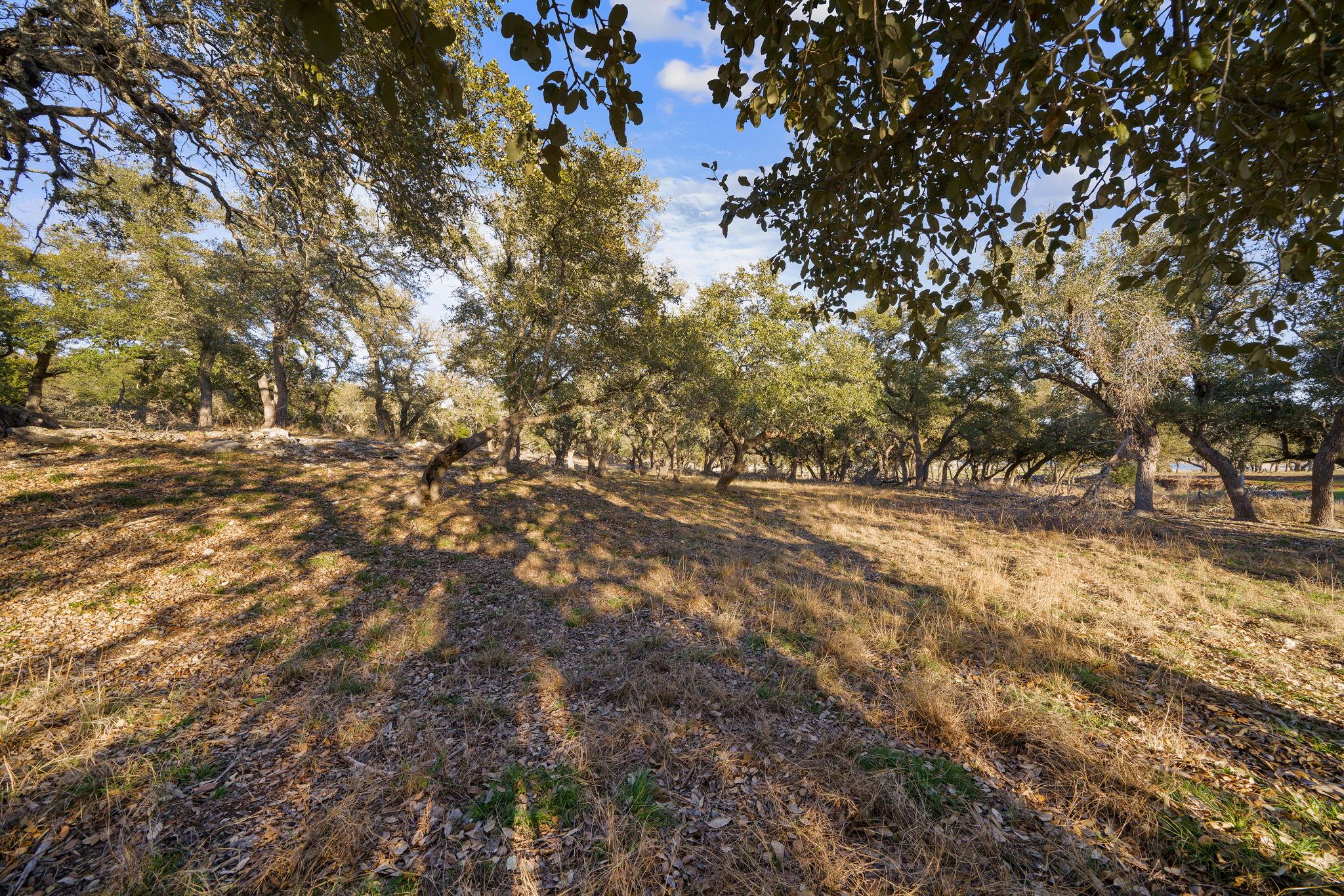 Image 7 of 31 For 539 Clay Ridge Rdg