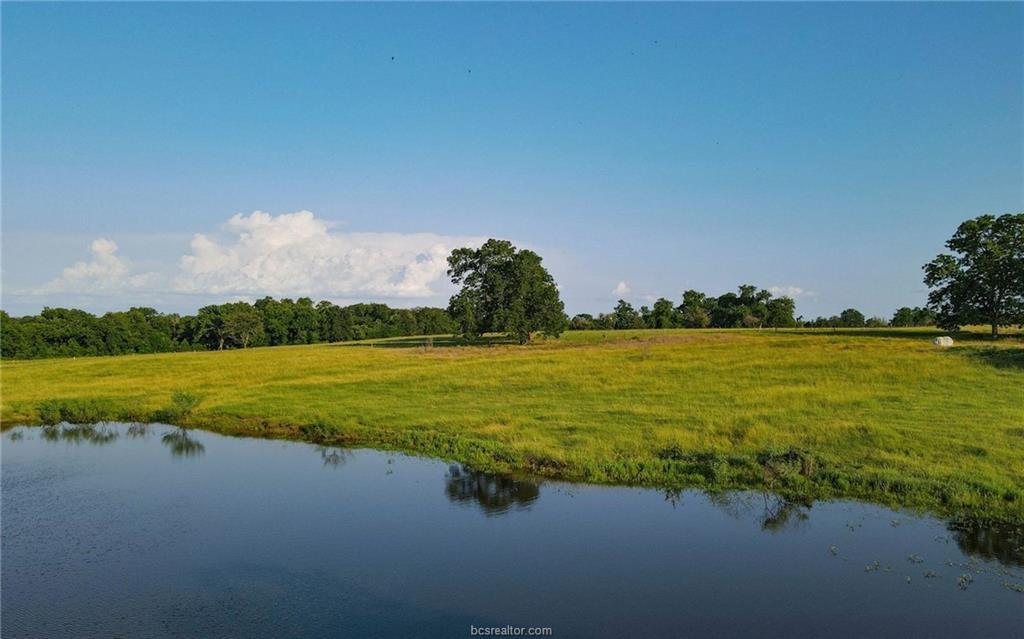 Image 21 of 29 For 4791 State Highway 21 W (+-- 25 Acr