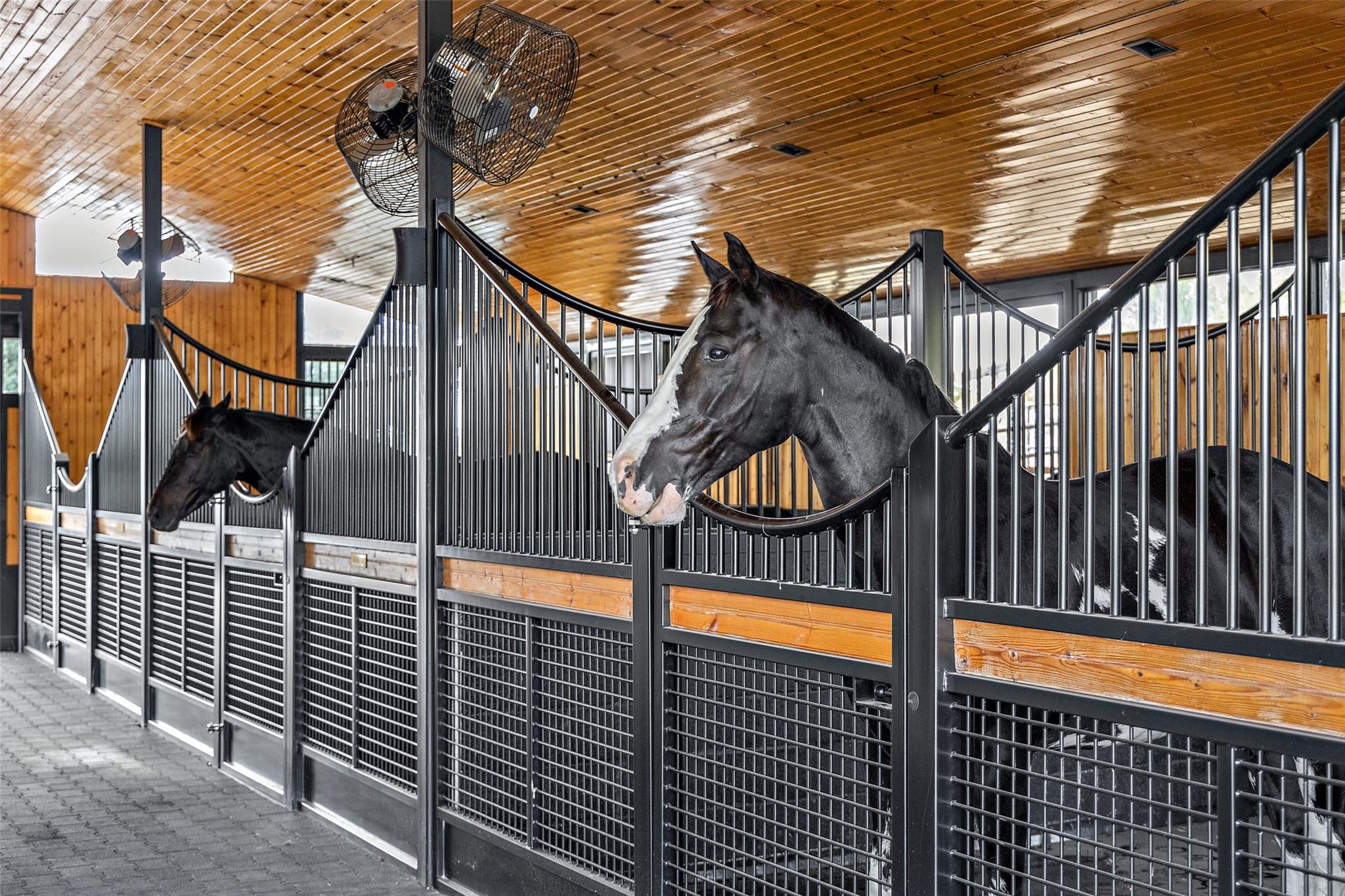 Image 31 of 40 For 2412 Bee Creek Rd