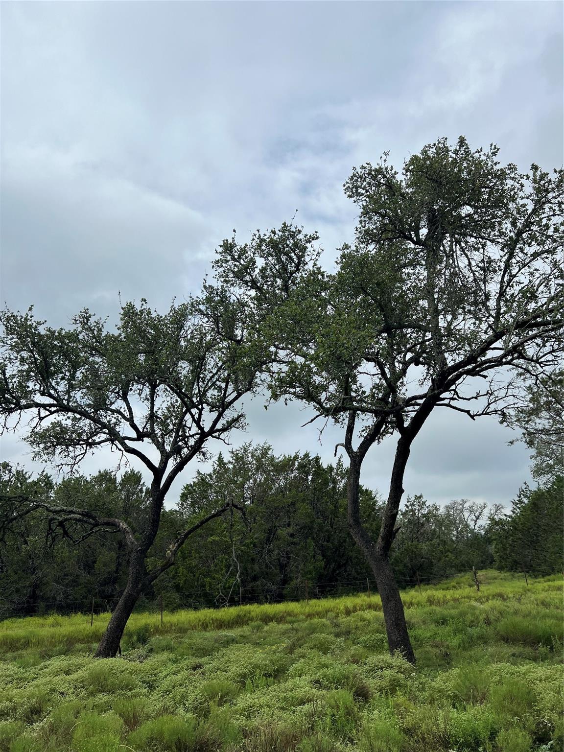 Image 3 of 10 For 1399 Klett Ranch Rd