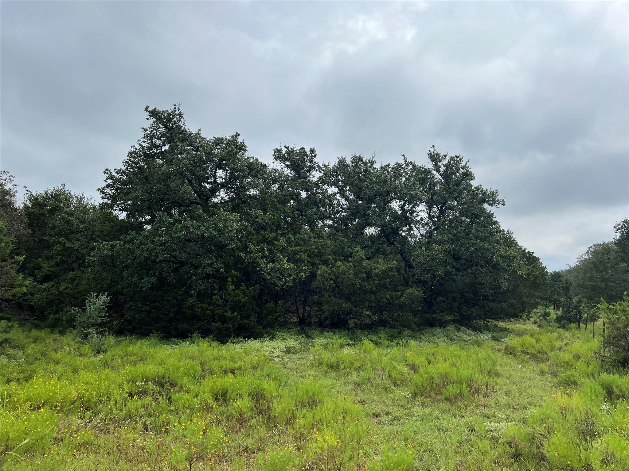 Image 5 of 10 For 1399 Klett Ranch Rd