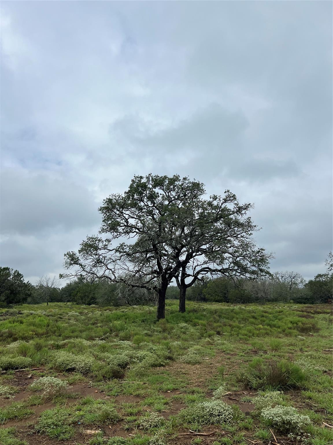 Image 6 of 10 For 1399 Klett Ranch Rd