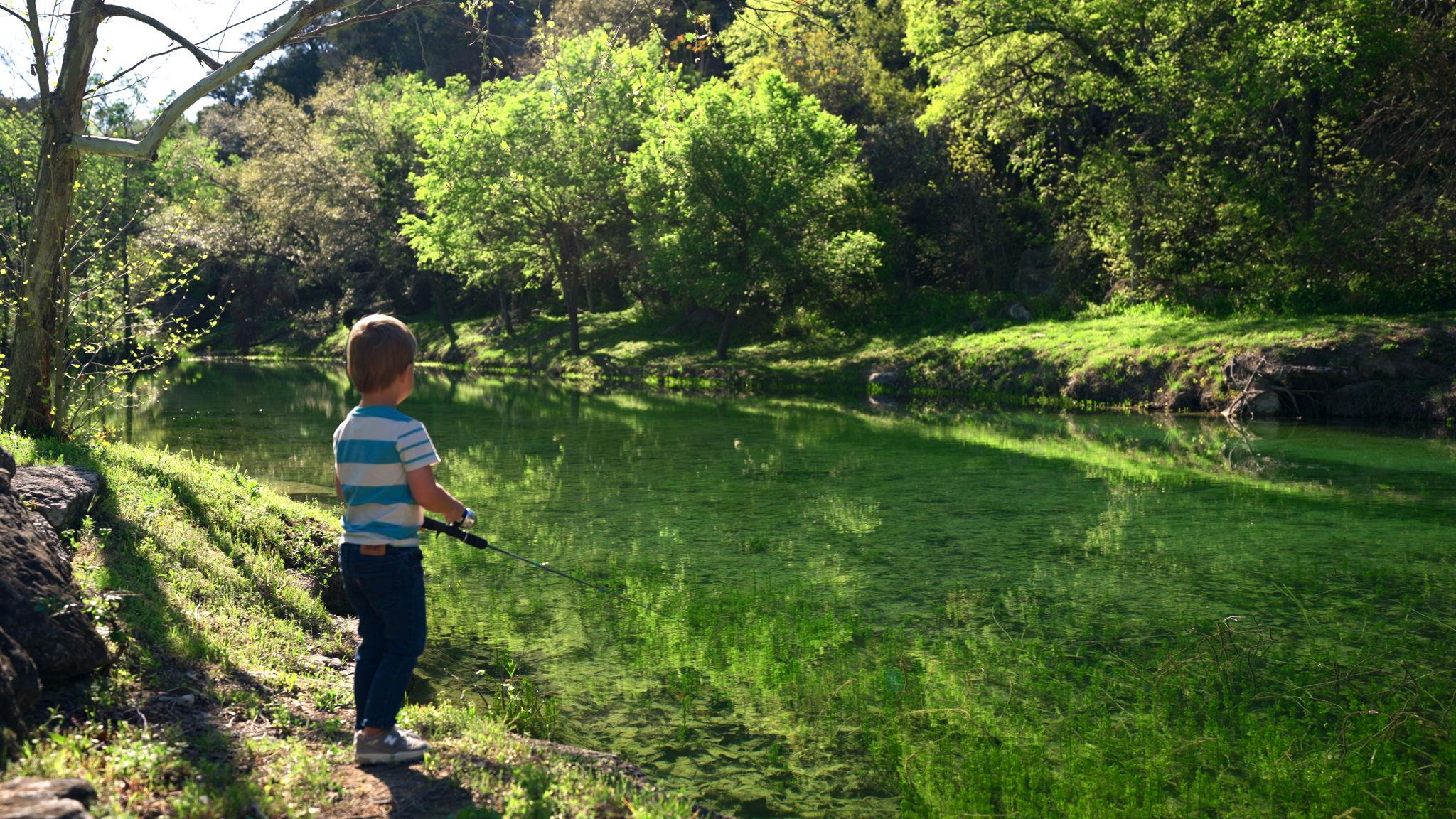 Image 8 of 40 For 11949 Overlook Pass