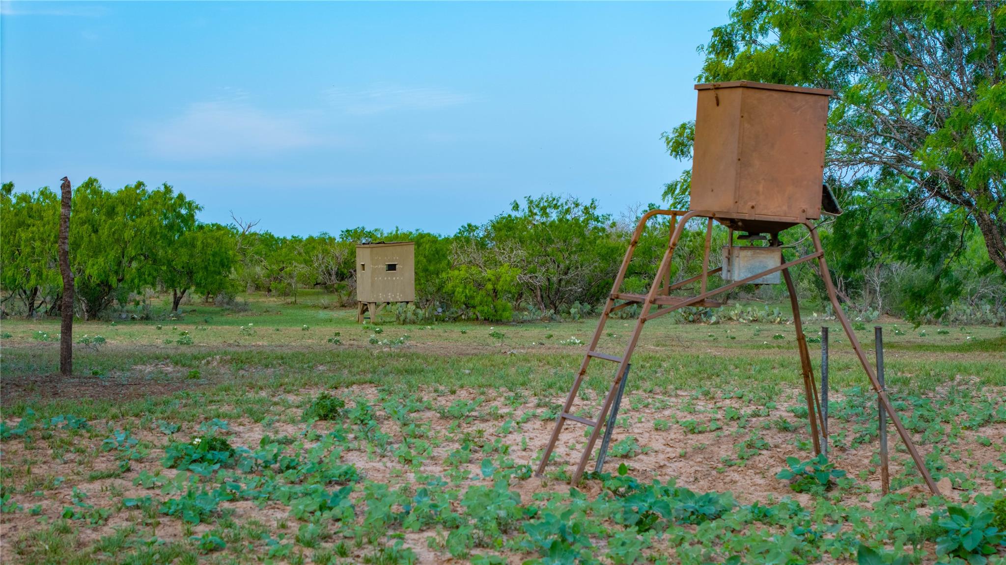 Image 12 of 34 For Tbd County Road 404
