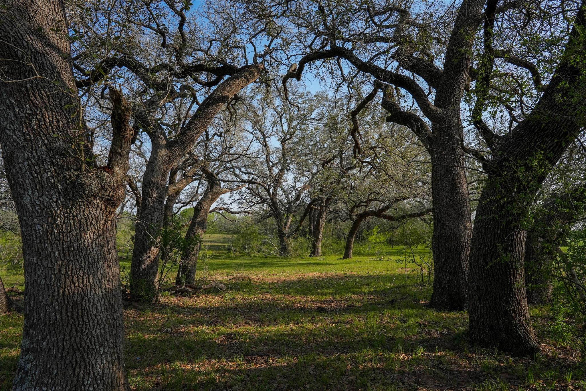 Image 13 of 34 For Tbd County Road 404