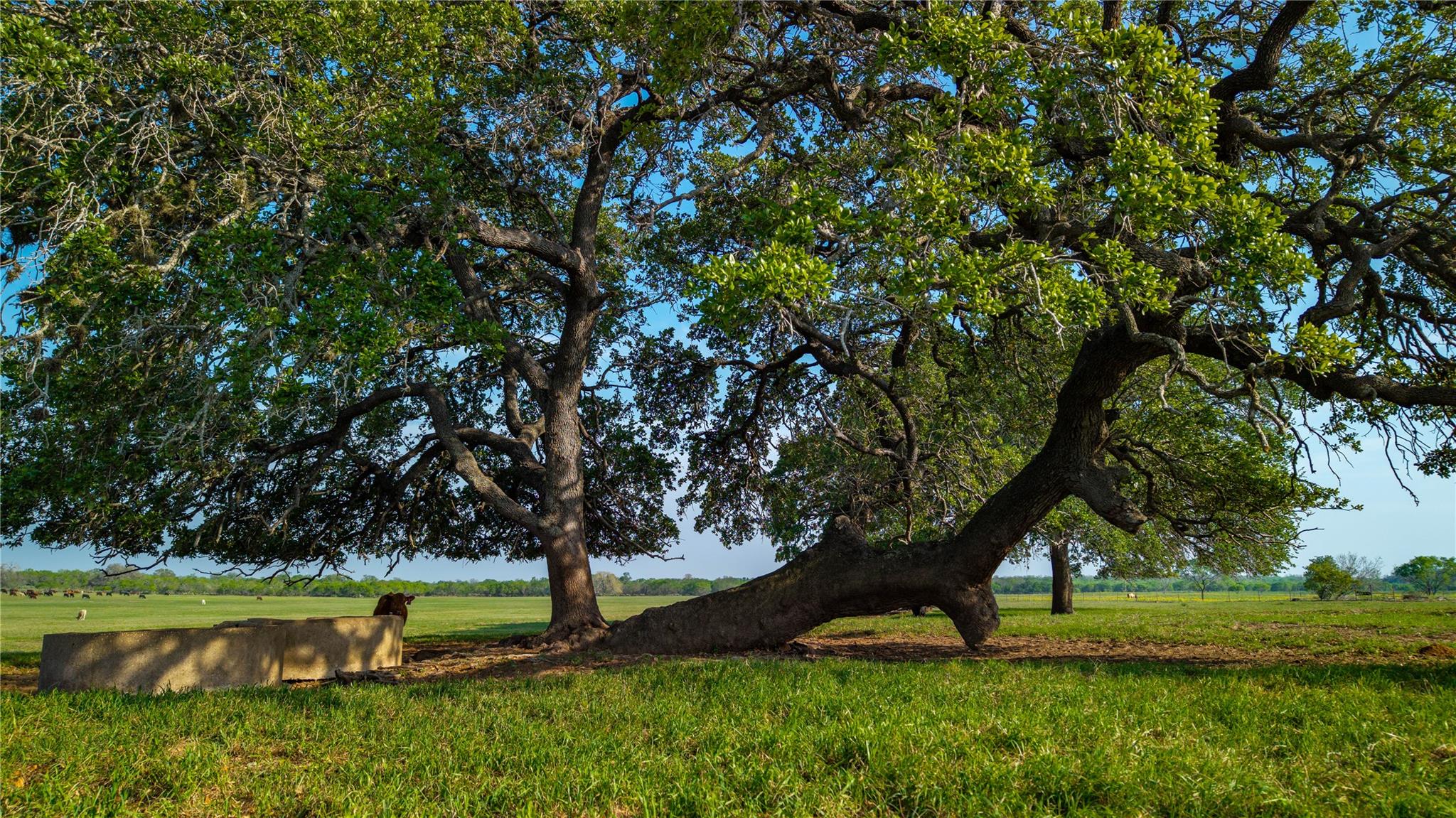 Image 2 of 34 For Tbd County Road 404