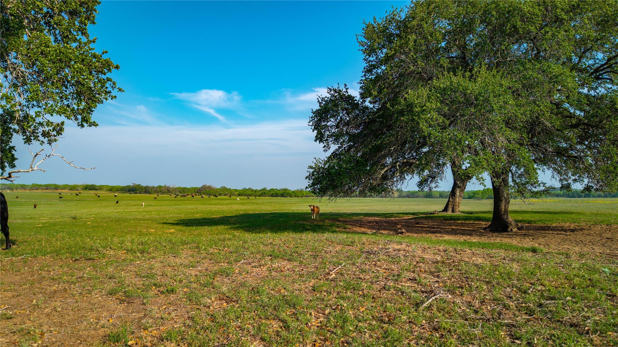 Image 22 of 34 For Tbd County Road 404