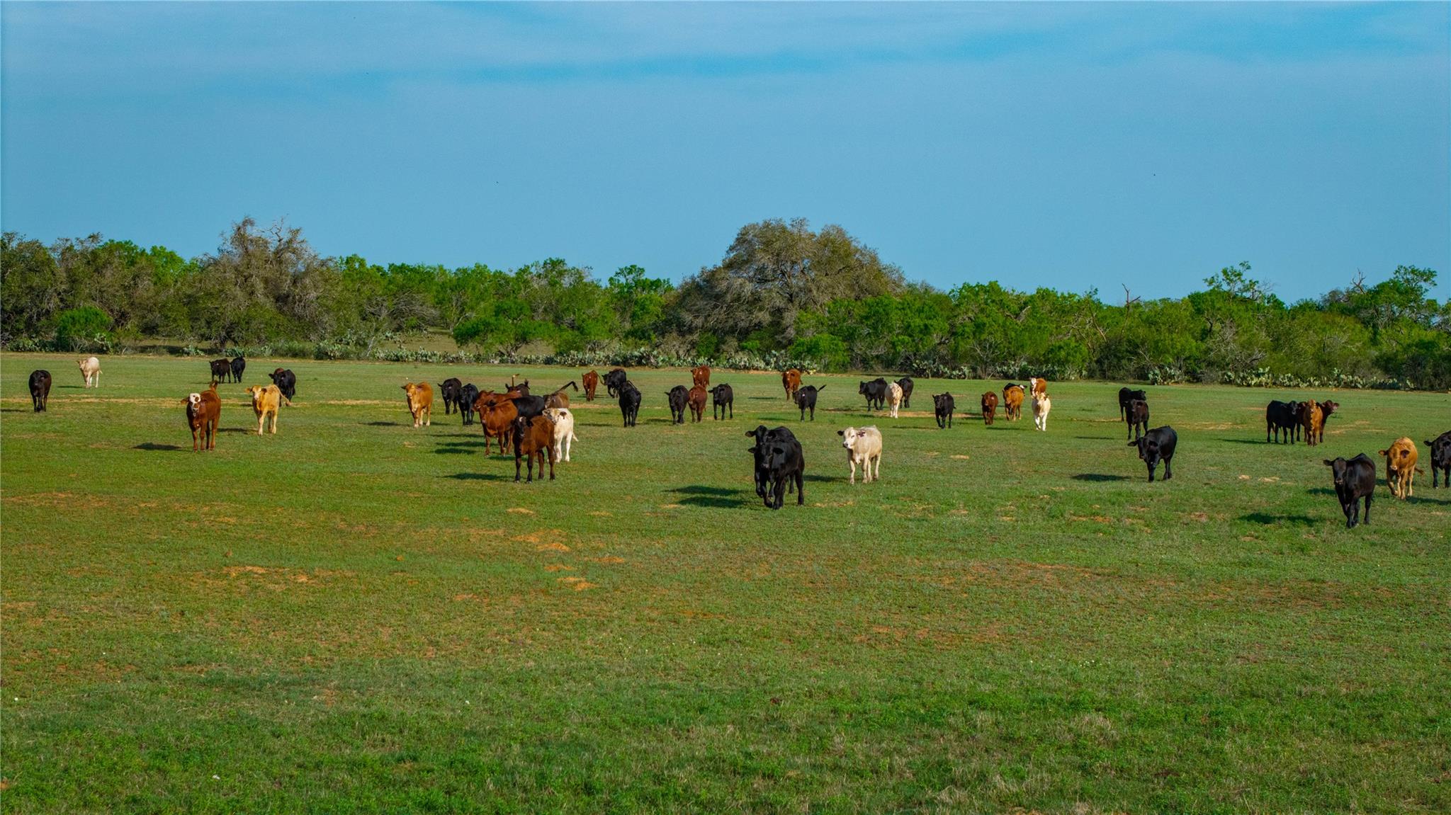 Image 23 of 34 For Tbd County Road 404