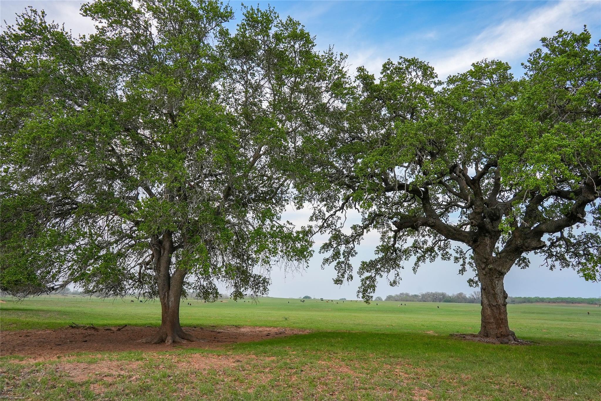 Image 24 of 34 For Tbd County Road 404