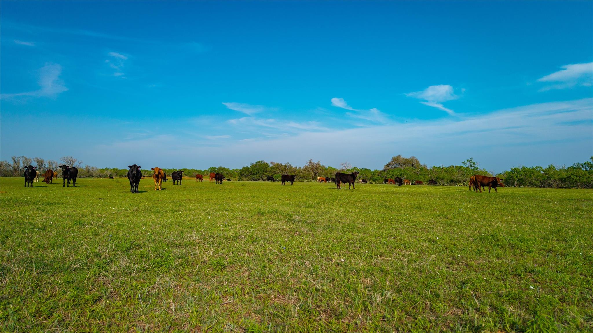 Image 26 of 34 For Tbd County Road 404