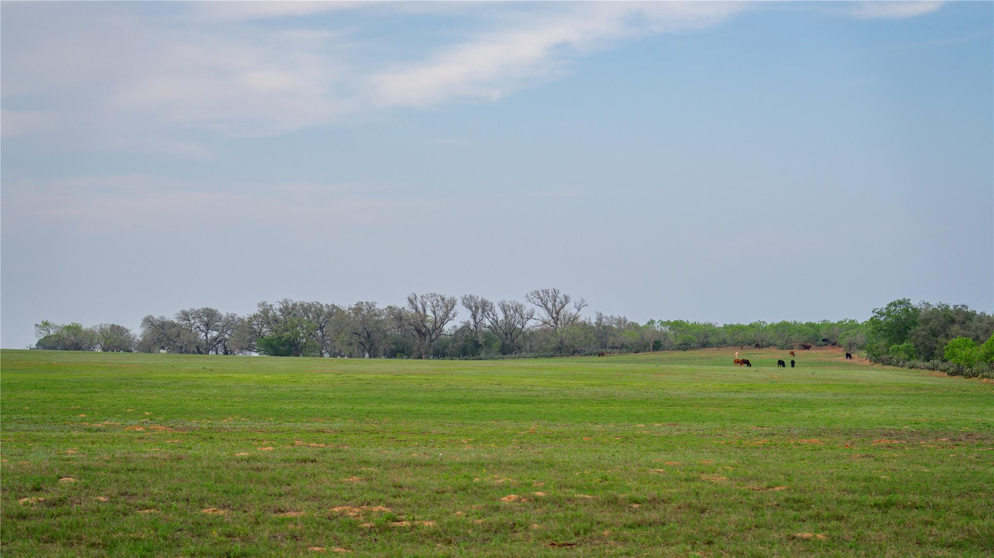 Image 31 of 34 For Tbd County Road 404