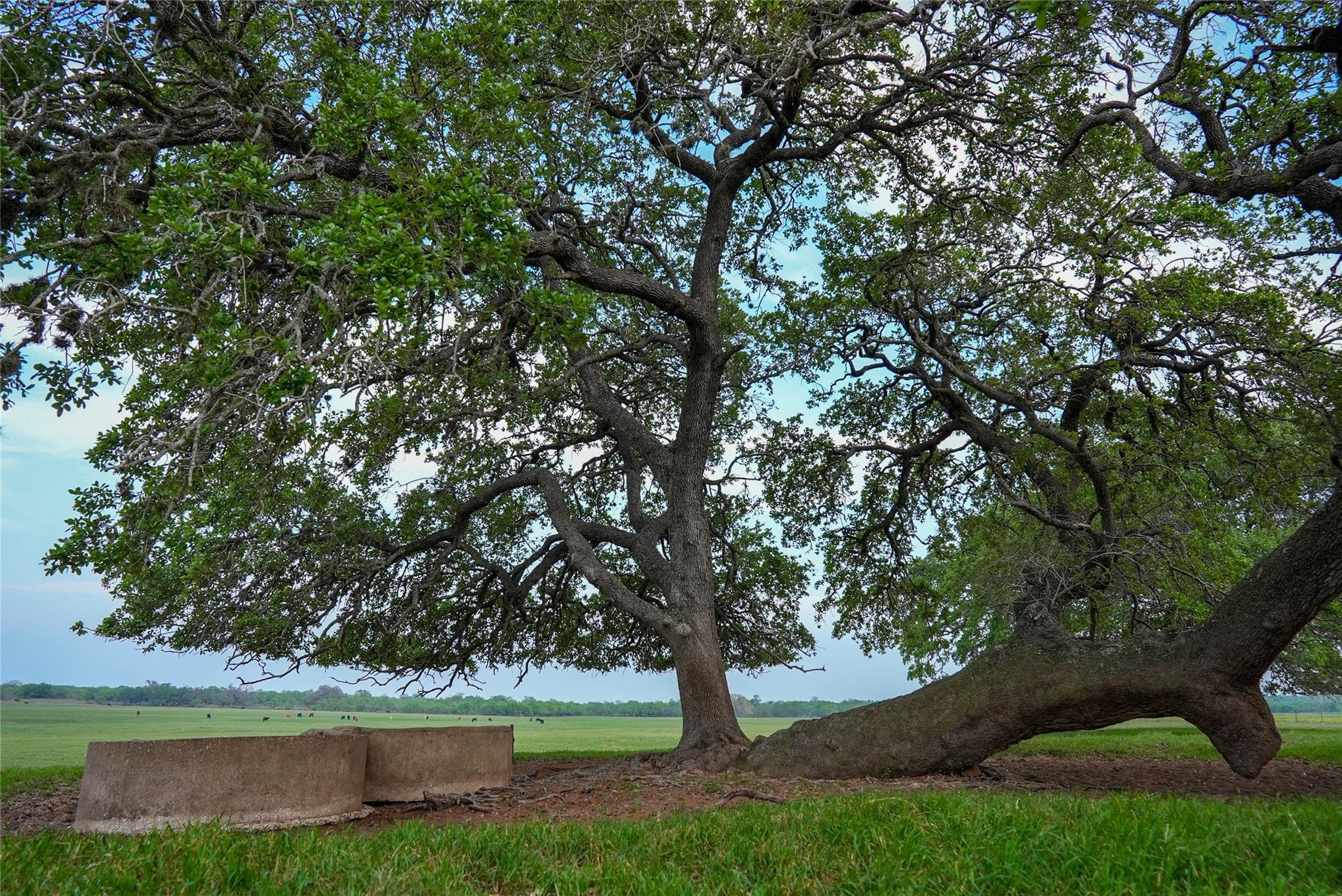 Image 32 of 34 For Tbd County Road 404